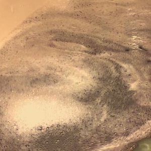 Meet your Posher, Natalyia